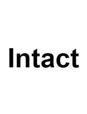 Intact - 前端MVVM框架